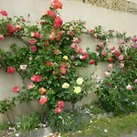 Le Clos Des Rosiers 3* Saint-Émilion