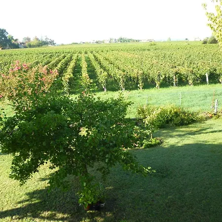 Le Clos Des Rosiers Bed & Breakfast Saint-Emilion