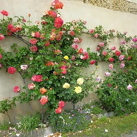 Le Clos Des Rosiers Frühstückspension