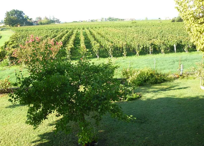 Le Clos Des Rosiers Bed & Breakfast Saint-Emilion