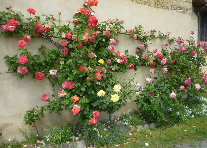 Le Clos Des Rosiers 3* Saint-Émilion